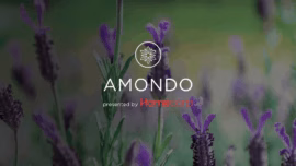 Amondo Estate by Homecorp