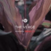 The Verge house and land
