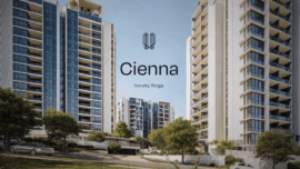 Cienna Varsity Ridge