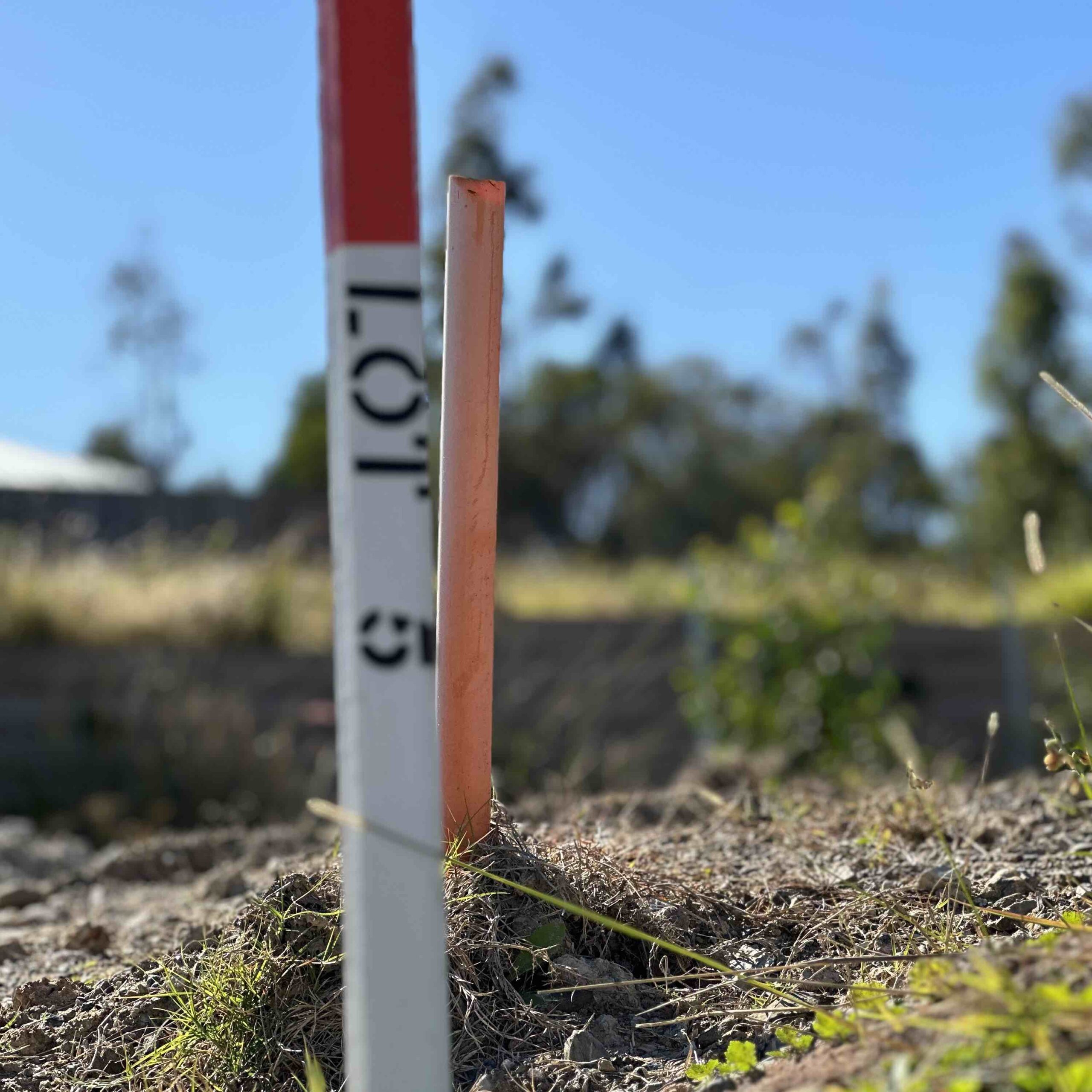 Belmont Reserve Homecorp