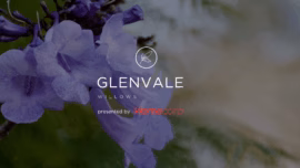 Glenvale house and land