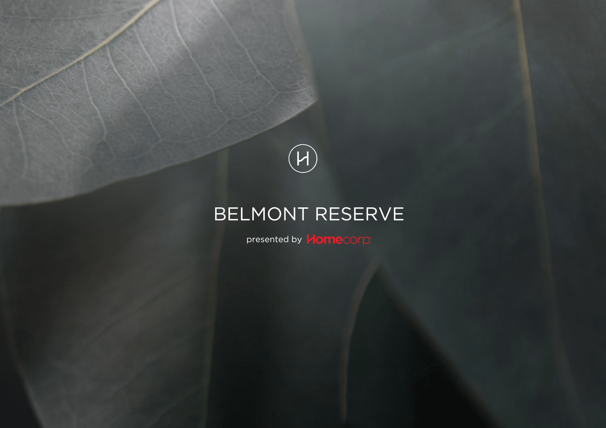Belmont Reserve in Holmview