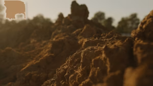 Homecorp can help you develop your land