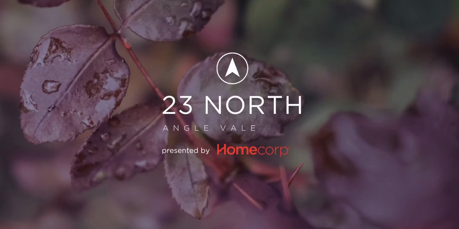 23 North