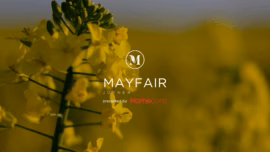Mayfair house and land