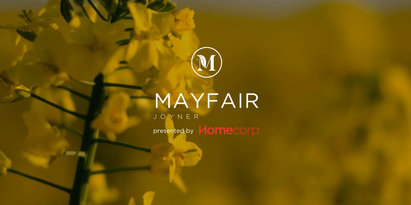 Mayfair