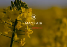 Mayfair house and land
