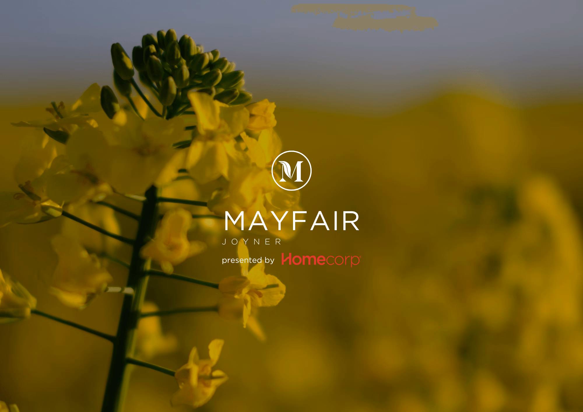 Mayfair house and land
