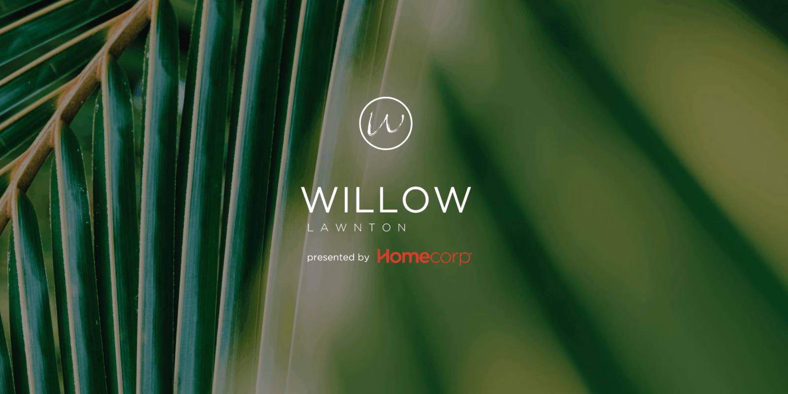 Willow